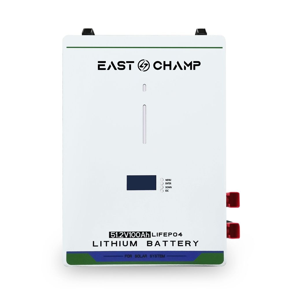 LiFePO4 Wall Mounted Lithium Battery 51.2V100AH-5KWH 51.2V200AH-10KWH